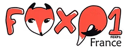 Logo FOXP1 France